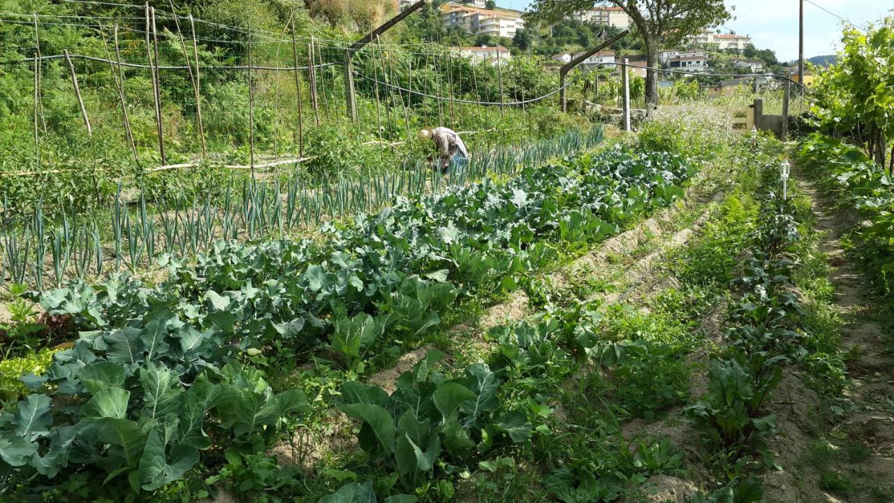 Verde Agua Agroturismo E Agricultura Biologica Couto Extérieur photo