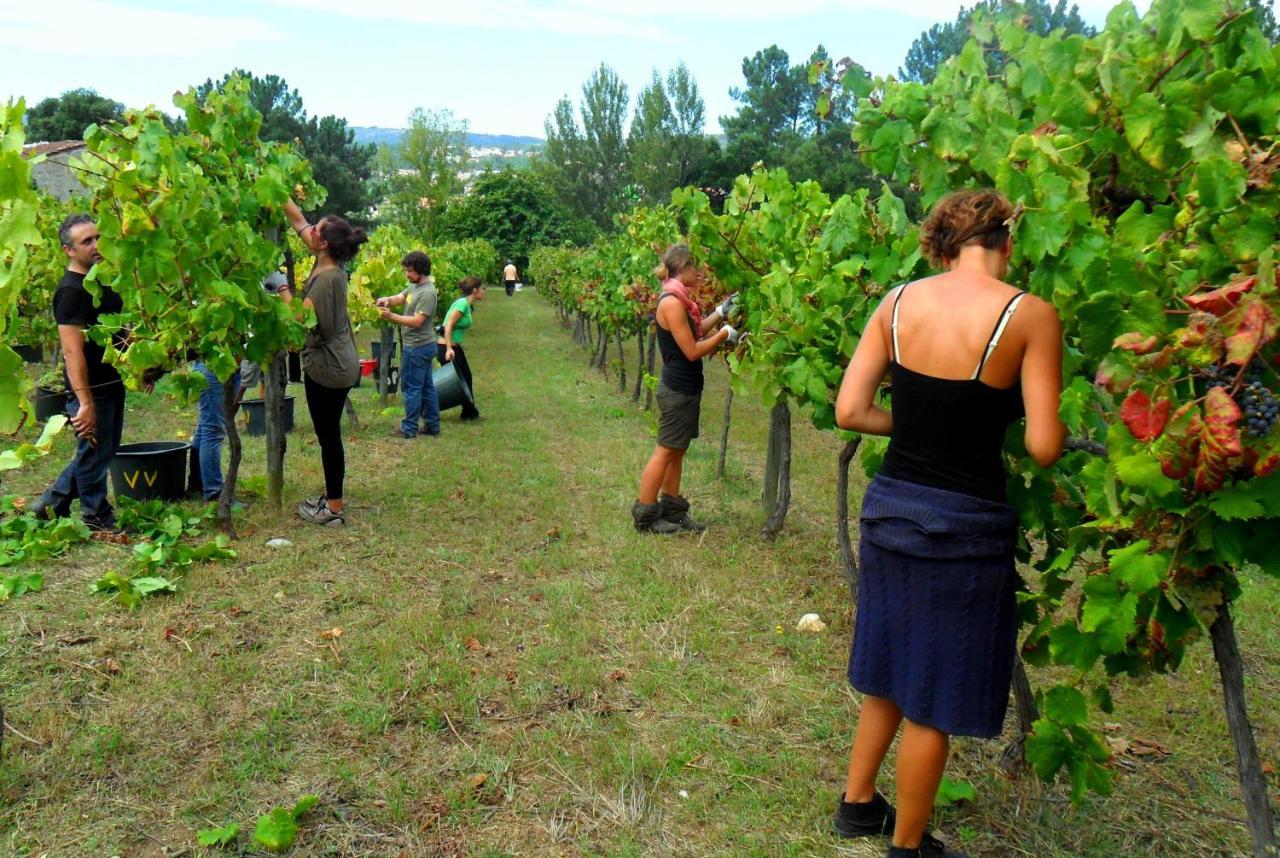Verde Agua Agroturismo E Agricultura Biologica Couto Extérieur photo