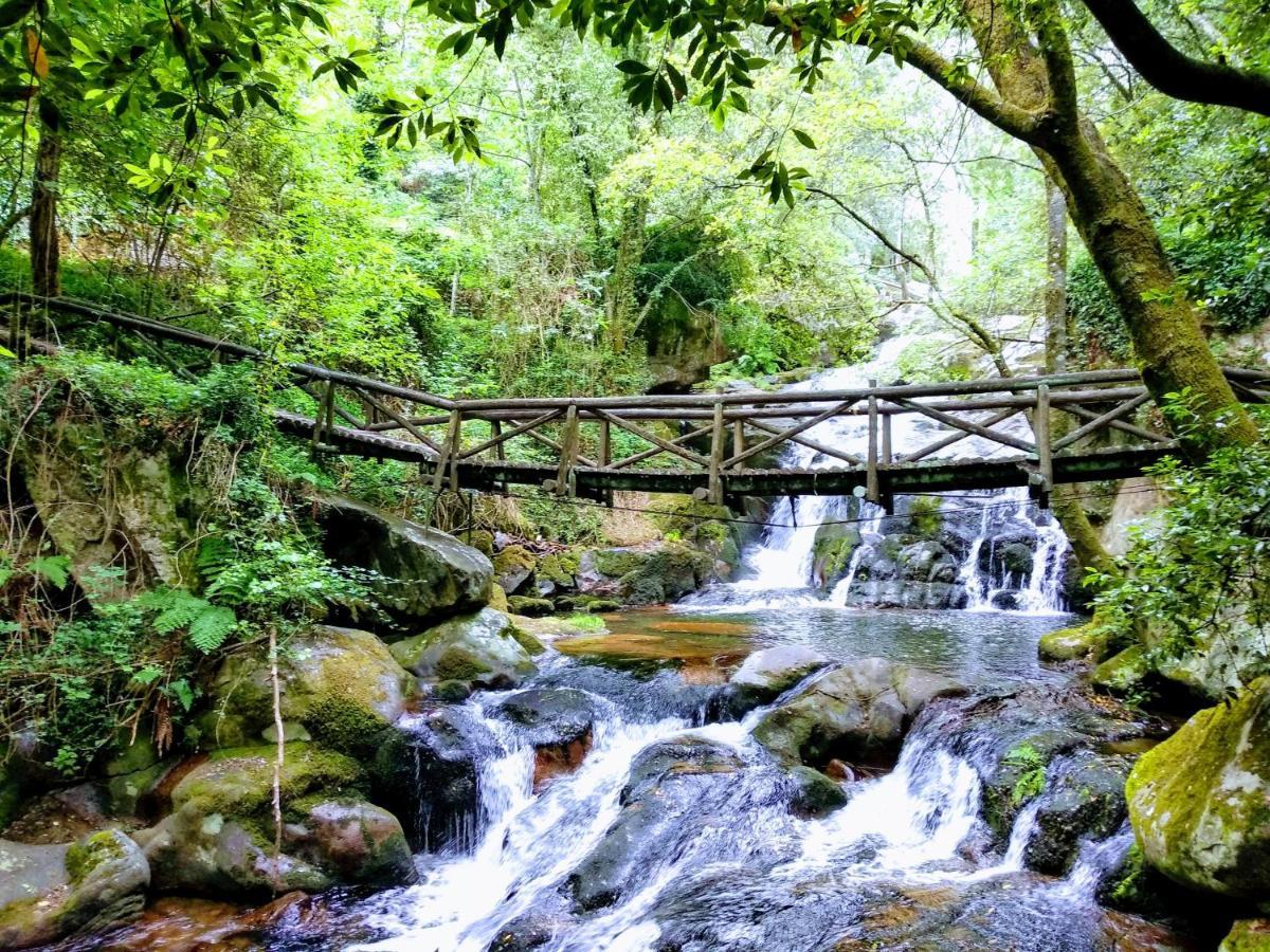 Verde Agua Agroturismo E Agricultura Biologica Couto Extérieur photo